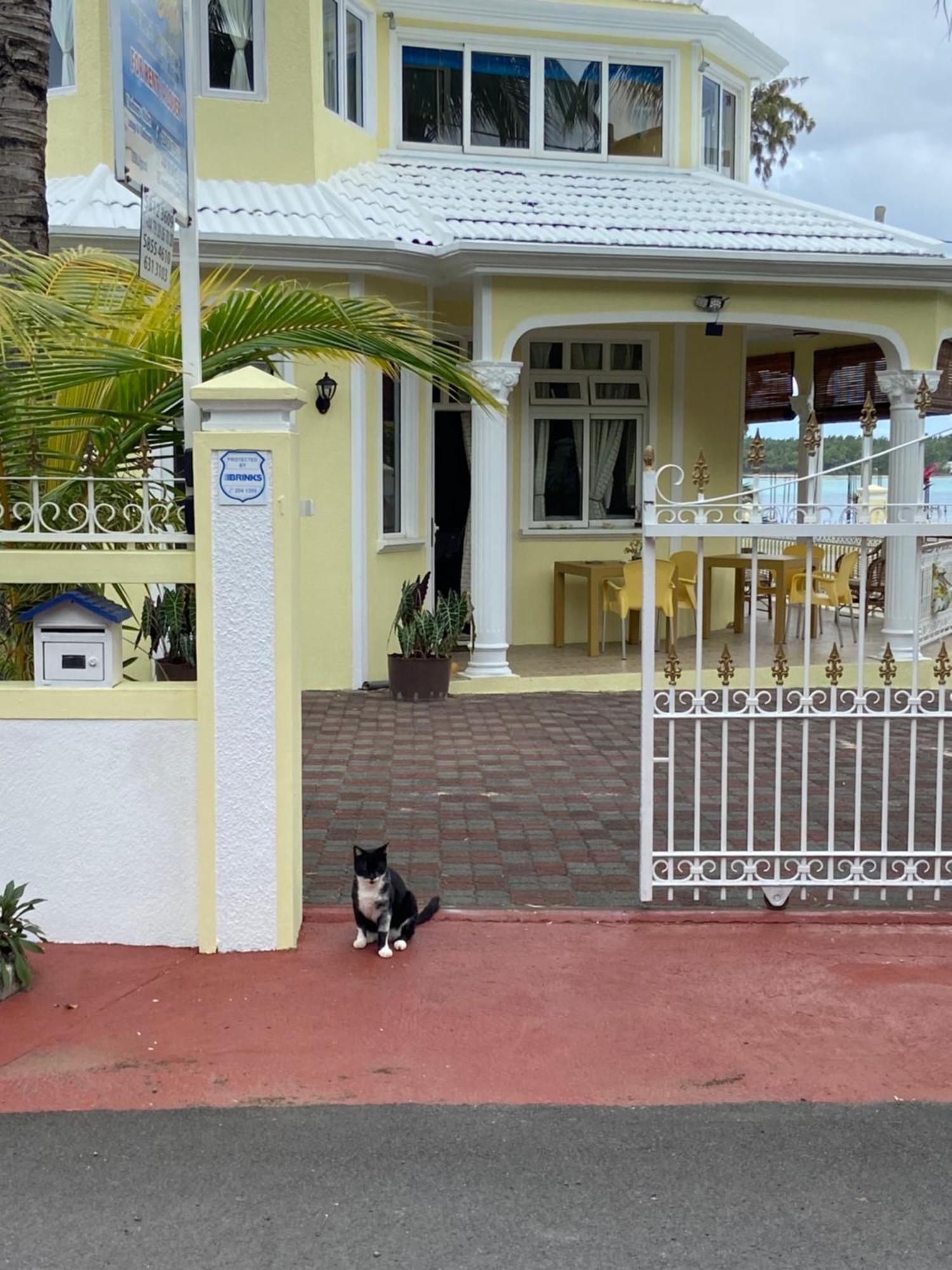 Villa Bella Charming Beachfront Guesthouse บลู เบย์ ภายนอก รูปภาพ